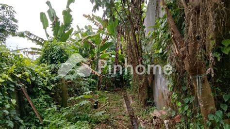 Dijual kebun kosong - Property For Sale - Sigi, Sulawesi Tengah ... - raincitystudios.com
