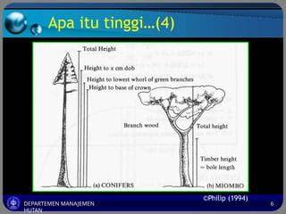 Dimensi Batang Pohon - TN Sipil - TNeutron - raincitystudios.com