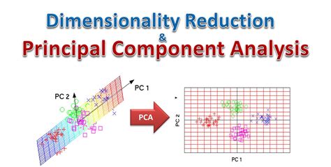Dimensionality Reduction with Principal Component Analysis (PCA ... - coolestguyplanet.net