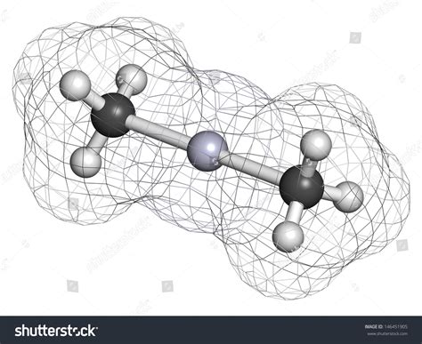 Dimethylmercury is one of the most toxic organomercury ... - wintechmobiles.com