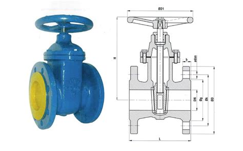 codini.rgarabwor.edu.pl. 