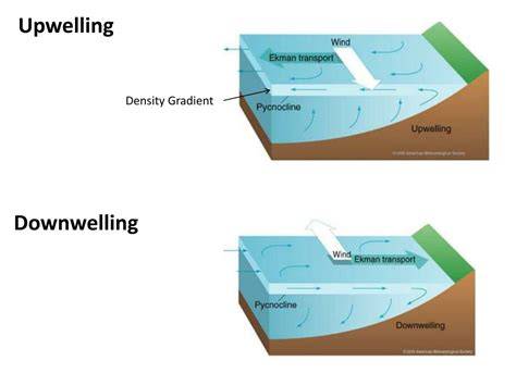 DINAMIKA UPWELLING DAN DOWNWELLING BERDASARKAN VARIABILITAS SUHU ... - raincitystudios.com