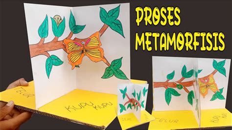 Diorama Kupu-Kupu | PDF - muktibox.com