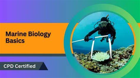 Diploma of Marine Biology | Australia Online Courses - raincitystudios.com