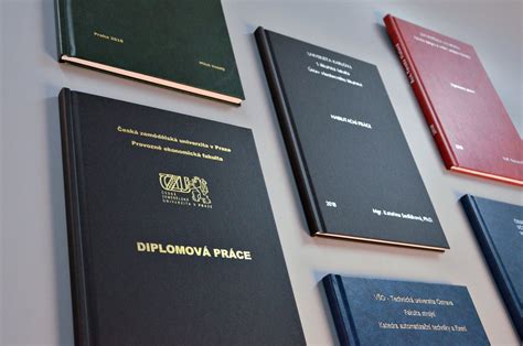 DIPLOMOVÁ PRÁCE - PVŠPS