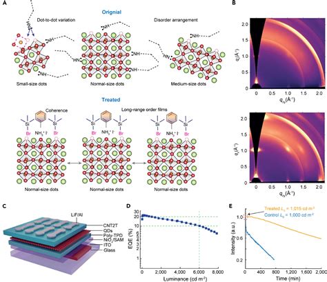 Dipole-assisted functionalization enables long-range ordering ... - Nature - wintechmobiles.com