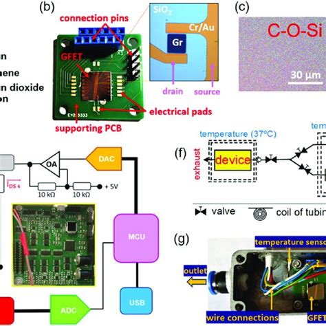 Direct Detection of Volatile Organic Compounds through Cationization ... - wintechmobiles.com