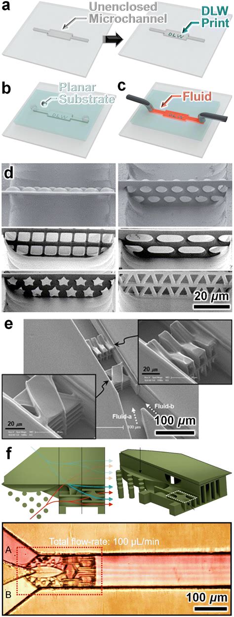 Direct laser writing-enabled 3D printing strategies for … - wintechmobiles.com