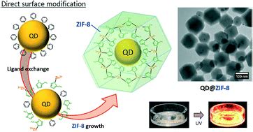 Direct surface modification of ligand-free silicon quantum dots ... - wintechmobiles.com