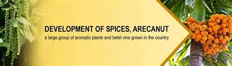 Directorate of Arecanut and Spices Development - raincitystudios.com