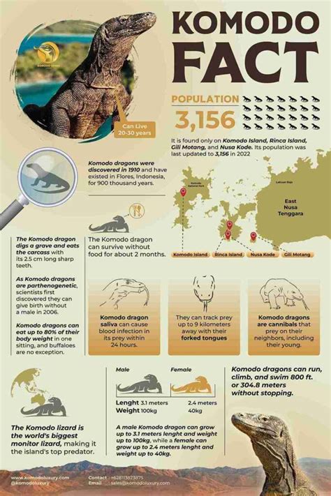 Discover 10 Fascinating Facts About The Ancient Art Of Native ... - MSN - wintechmobiles.com