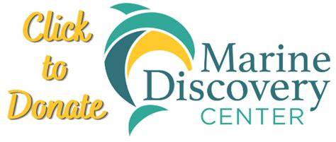 Discover Amazing • Marine Discovery Center - raincitystudios.com