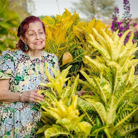 Discover the Best Plants for Your Garden - Garden Design - raincitystudios.com