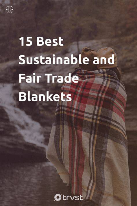 Discover the Best Sustainable Blankets Made From … - raincitystudios.com