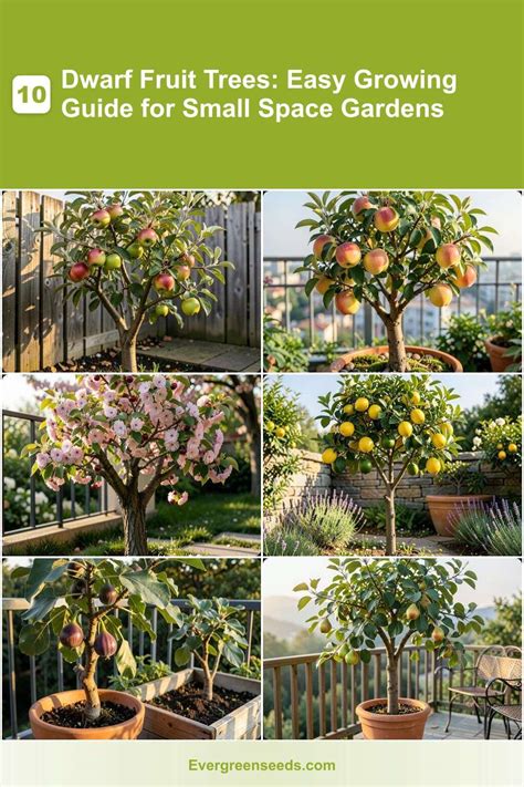 Discovering Dwarf Fruit Trees for Small Gardens - raincitystudios.com