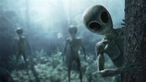 Discovering Extraterrestrial Life: Key Findings & Insights - muktibox.com