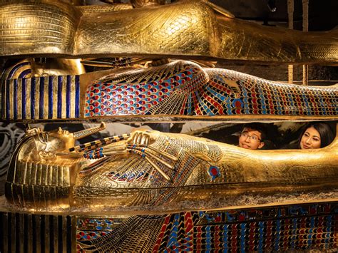 Discovering King Tut's Tomb - Gift Card - me - wintechmobiles.com