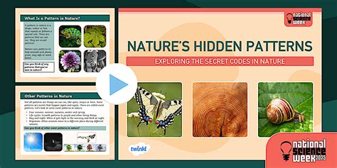 Discovering Natures Hidden Patterns Everywhere - Outdoor Action Plan - wintechmobiles.com