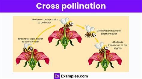 Discuss various adaptations self and cross-pollinations. - Toppr - raincitystudios.com