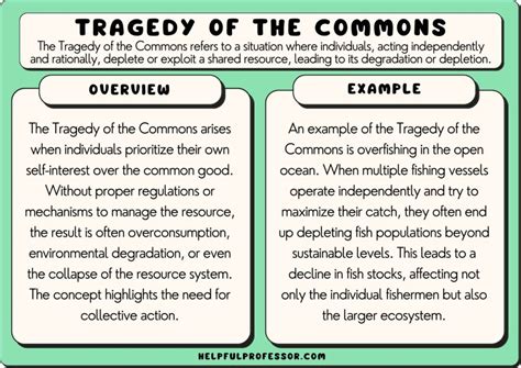 DISCUSSION PAPERS No Tragedy on the Commons