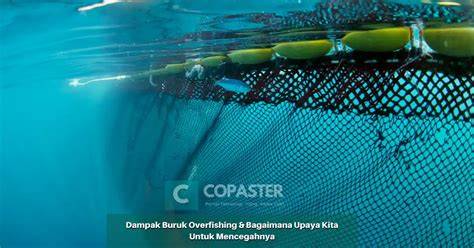 Diseminasi Dampak Overfishing dan Upaya Mitigasinya … - raincitystudios.com