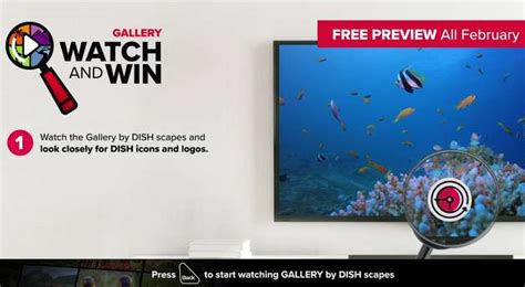 DISH Gallery Watch and Win Sweepstakes (Dishwatchandwin.com)