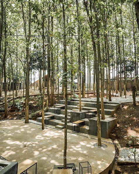 Disini ada hutan jati mini yang indah dan rindang, tapi ada ... - raincitystudios.com