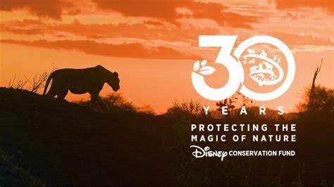 Disney Conservation Fund Awards Global Grants for Earth Month - raincitystudios.com