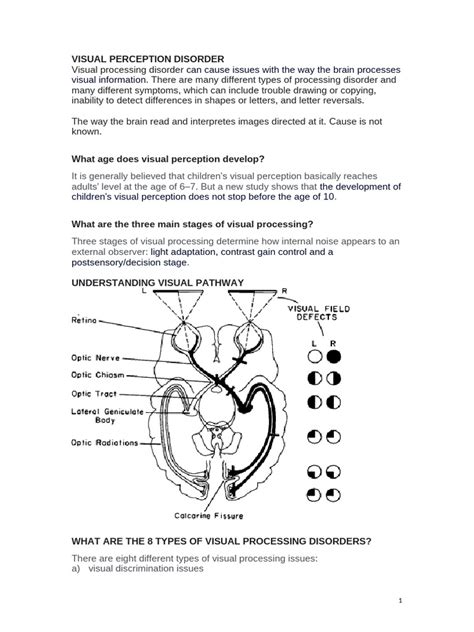 Disorders of visual perception - Journal of Neurology, … - muktibox.com