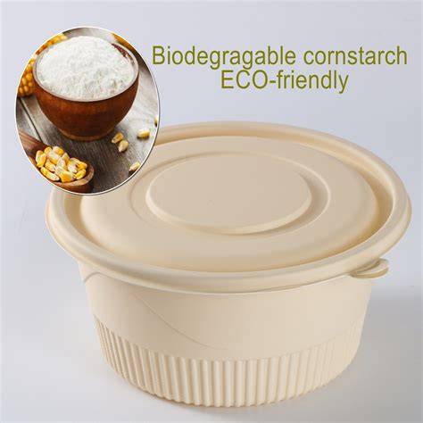Disposable Cornstarch Food Container,Bagasse … - raincitystudios.com