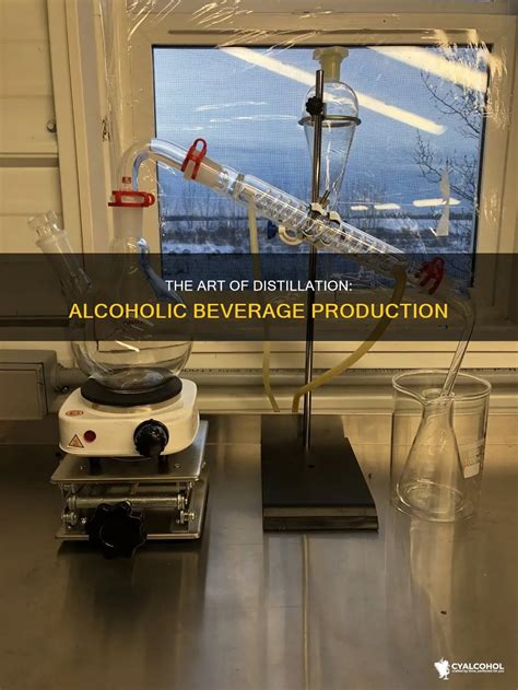 Distillation in Alcoholic Beverages - wintechmobiles.com