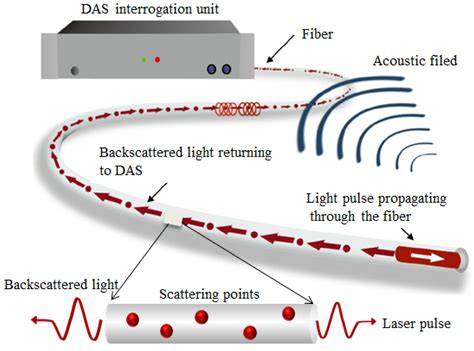 Distributed Acoustic Sensing (DAS) Research Coordination Network … - raincitystudios.com