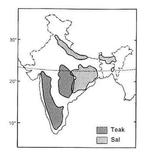 Distribution, Growth and Site Requirements of Teak - JIRCAS - raincitystudios.com