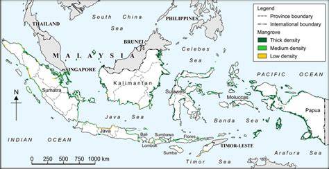 Distribution and Cu rrent Status of Mangrove Forests in Indonesia - raincitystudios.com