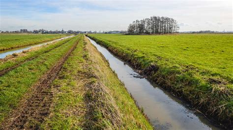 DITCH THE - Youth Charity | Mental Health, Bullying - wintechmobiles.com