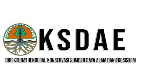 Ditjen KSDAE - Asyik Telusuri Hutan Lumut, Tim Road to... - raincitystudios.com