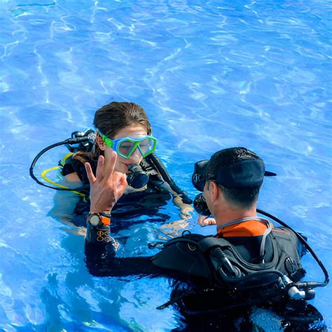 Dive And More | Dive trips | Ocean conservation - raincitystudios.com