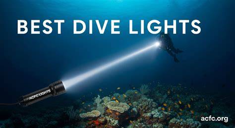 Dive Lights - Shop Divers Direct - raincitystudios.com