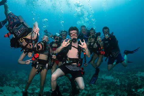 Dive Trips | Underwater Photography Workshops - Mozaik Underwater … - raincitystudios.com