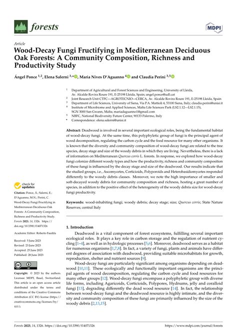 Diversity, Abundance, and Distribution of Wood-Decay Fungi - raincitystudios.com
