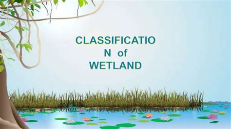 Diversity and Classification of Wetlands in International ... - Springer - muktibox.com