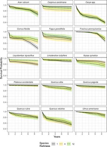 Diversity stabilizes but does not increase sapling … - raincitystudios.com