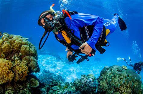 Diving & Coral Reef Protection in Thailand - Projects Abroad - raincitystudios.com