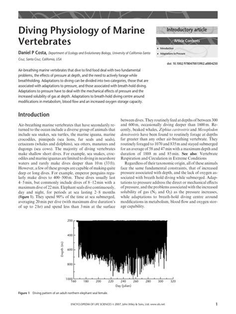 Diving into Marine Vertebrates - raincitystudios.com