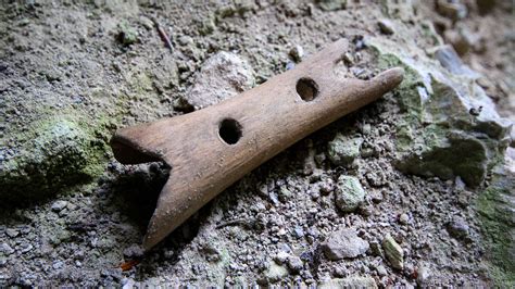 Divje Babe flute - wintechmobiles.com