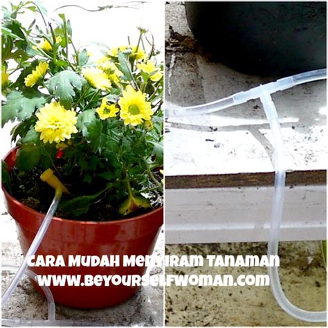 DIY Alat Penyiram Sederhana Untuk Tanaman Dalam Pot - raincitystudios.com