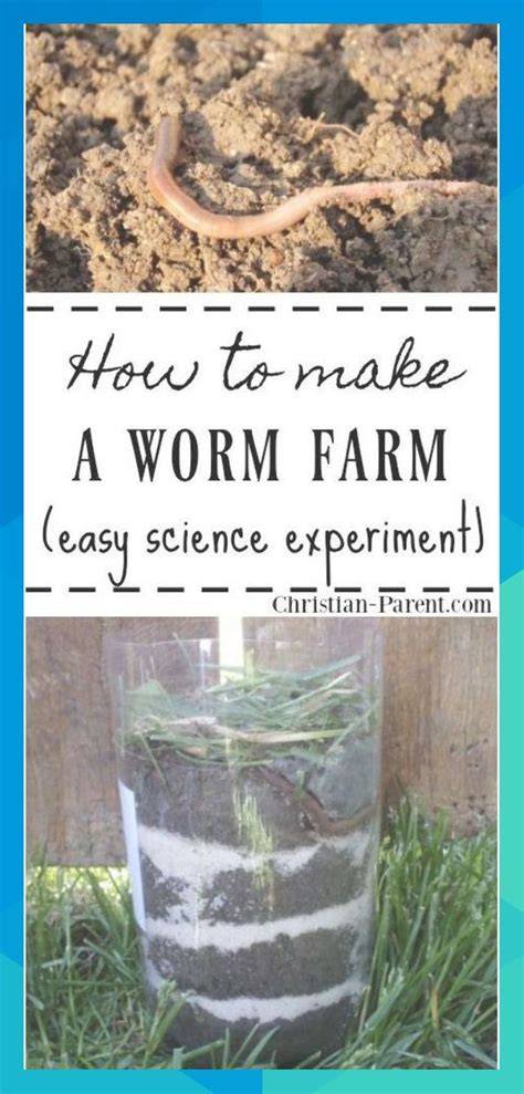 DIY and Experiments @ The Little Worm Farm - raincitystudios.com
