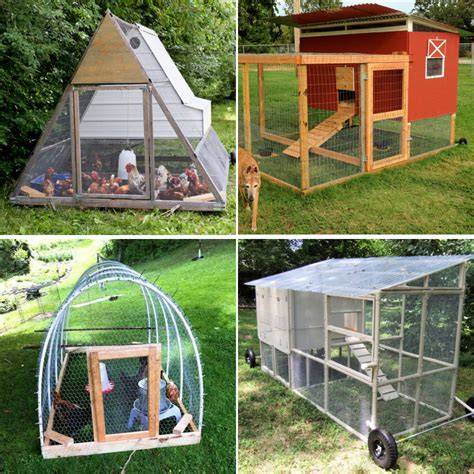 DIY Chicken Tractor Plans : 13 Steps (with Pictures) - raincitystudios.com