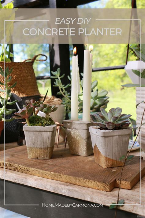 DIY Concrete Pots - great for succulents, herbs and ferns - muktibox.com
