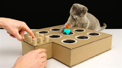 DIY Cardboard Cat Whack-a-Mole - The Awesomer